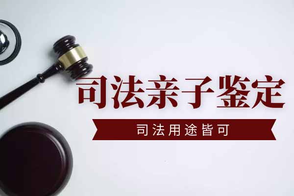 做无创亲子关系鉴定怎么做