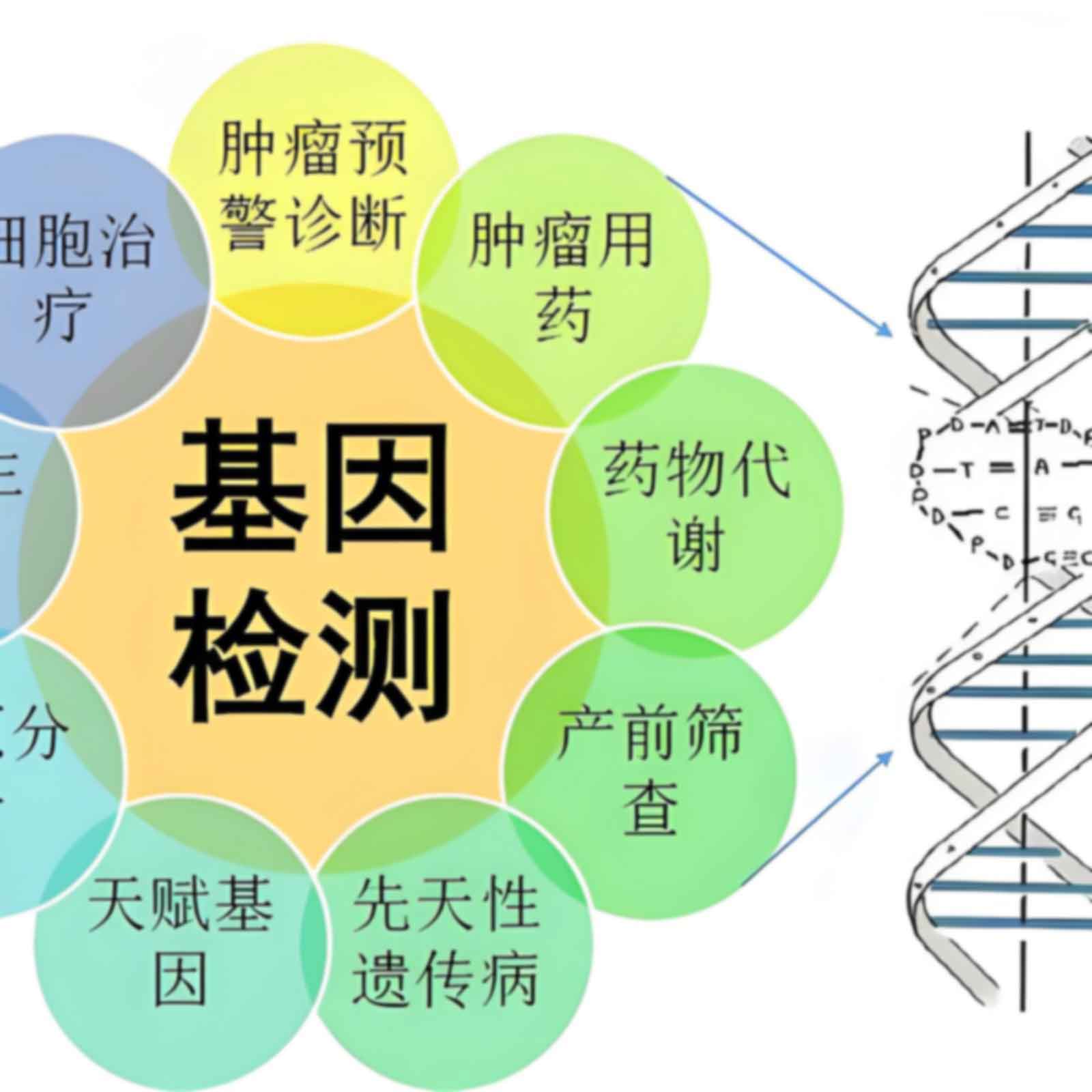 哈尔滨南岗司法亲子关系鉴定结果准确吗